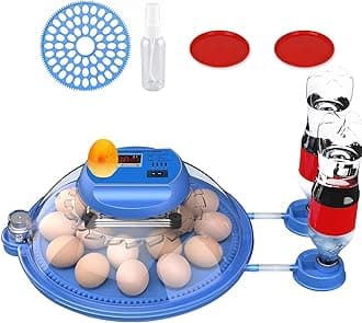 Incubator for eggs