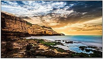 Business QE55T 55-inch 4K UHD 3840x2160 LED Commercial Signage Display, HDMI, USB, Speakers, 3-Yr Warranty, 16/7 Operation, 300 nit (LH55QETELGCXGO), Black