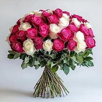 GlobalRose 50 Fresh Cut Assorted Roses Bouquet - Responsibly Sourced Roses Fresh Flowers - Flowers Fresh Bouquet for Wedding, Anniversary, Birthday & Special Occasions (2 Bunches of 25 Stems)