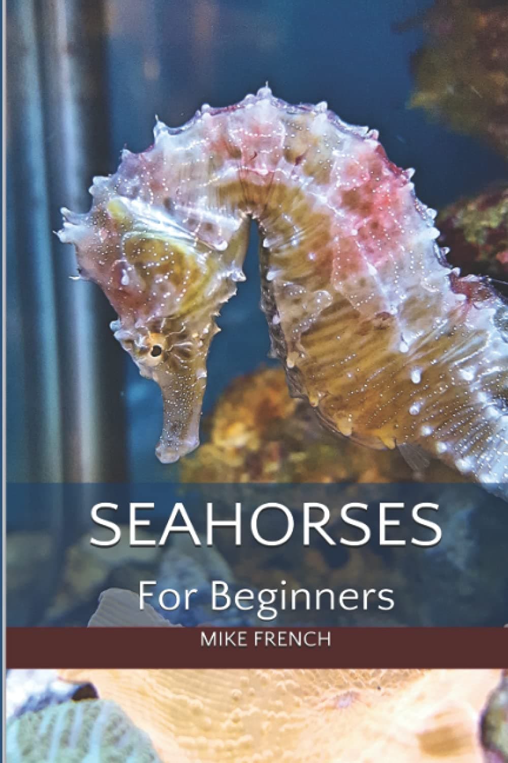 Seahorses For Beginners