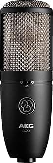 Pro Audio P420 Dual Capsule Condenser Microphone, Black (3101H00430)