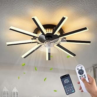 Ceiling Fans with Lights