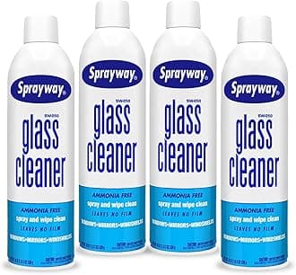 Glass Cleaner Aerosol Spray, 19 oz (19 oz)