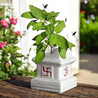 5 inches Tulsi Ceramic Plant Pots, Flower Pot with Drainage Hole, Decorative Modern Indoor Planters, Home Garden Decor for Living Room Bedroom Interior (White,CPOT016)