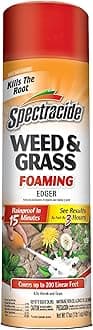 Spectracide Weed & Grass Foaming Edger (17 oz), 1 Count