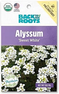 Back to The Roots 100% Organic Seed Packet - Alyssum 'White' 100mg