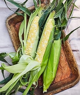 Burpee Peaches & Cream Sweet Corn Seeds 200 seeds