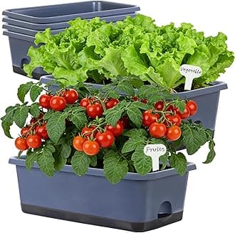 Window Box Planter 6 Pcs, 18 Inches Rectangle Flower Pots with Drainage Holes and Trays, Vegetable Planters for Windowsill Patio Garden Balcony Home Porch Yard Indoor Outdoor (Grey, 18*10*6 inch)