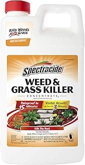 Spectracide Weed And Grass Killer Concentrate 64 Ounces, Use On Patios, Walkways And Driveways