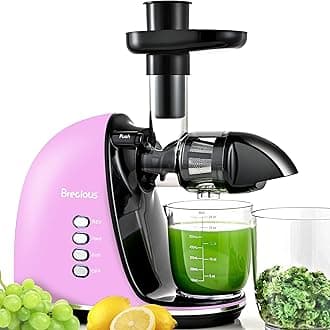 Chewing Press, Cold Press with 2 Speed Modes and Silent Motor, Vegetable and Fruit Press Machines with Reversing Function, Celery Squeeze