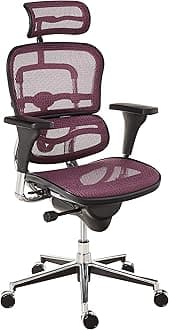 ErgohumanEurotech Seating High Back Mesh Managers Chair, Plum Red