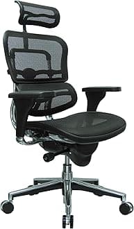 Ergohuman Executive Chair With Headrest - Black