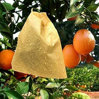 HouWanA Fruit Protection Paper Bags 100pcs, 6.2X7.7inch, Suitable for: Oranges, Peaches, Apples and Other Fruits and Vegetables, Orchards, Frosts, Plant Covers (16x19.8)