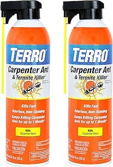 TERRO Ready to Use Indoor and Outdoor Carpenter Ant, Termite, and Carpenter Bee Killer Aerosol Spray - T1901SR - 2 Pack, 32 Total Ounces