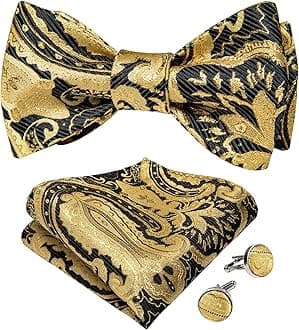 DiBanGu mens Tie Fashion