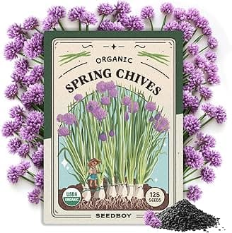 Organic Chive Seeds for Planting Indoor and Outdoor, Non-GMO and USDA Certified Herb Seed Packet for Hydroponic Garden Indoor or Planting Outdoors (Common Chives)USDA Organic