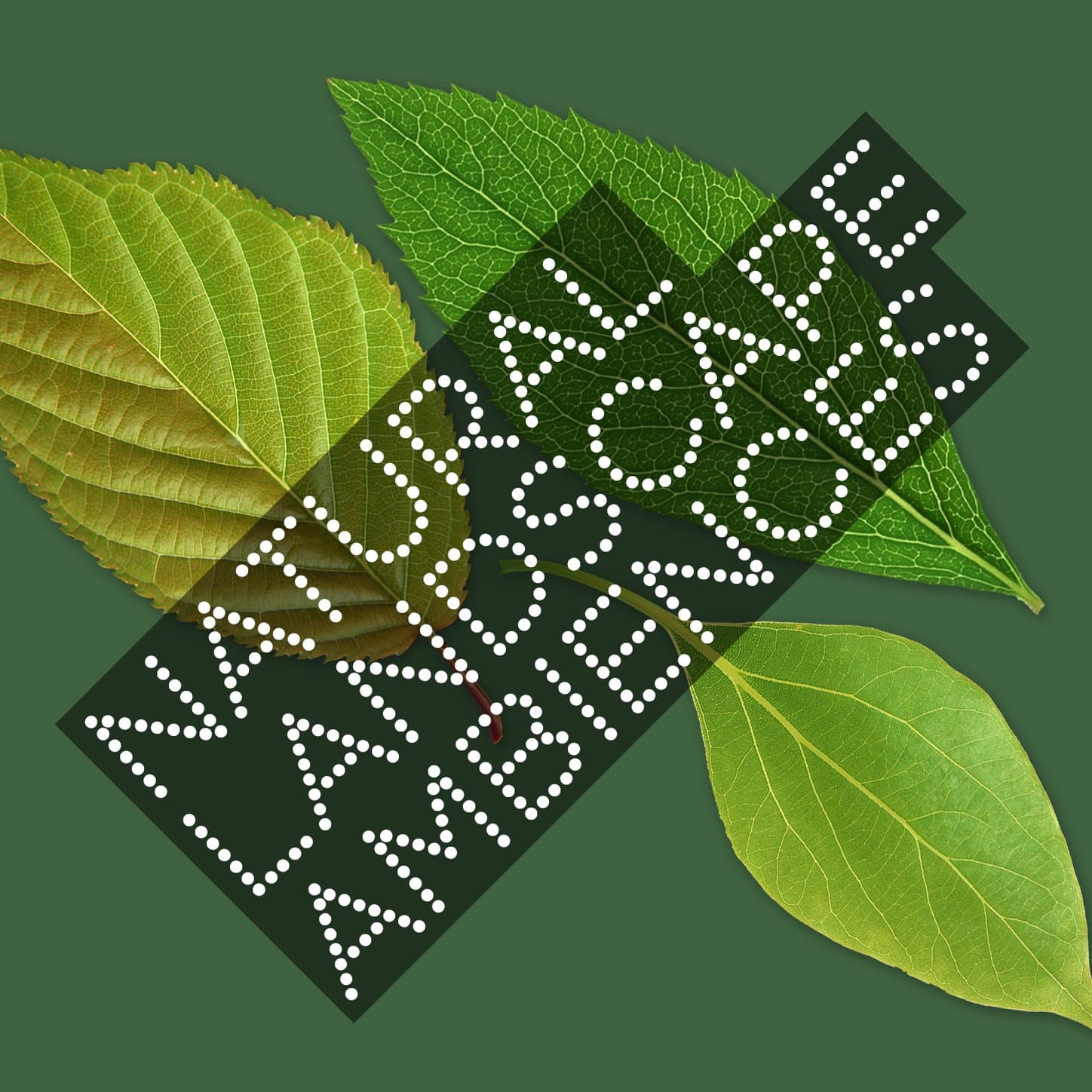 Natural Landscape Ambiences