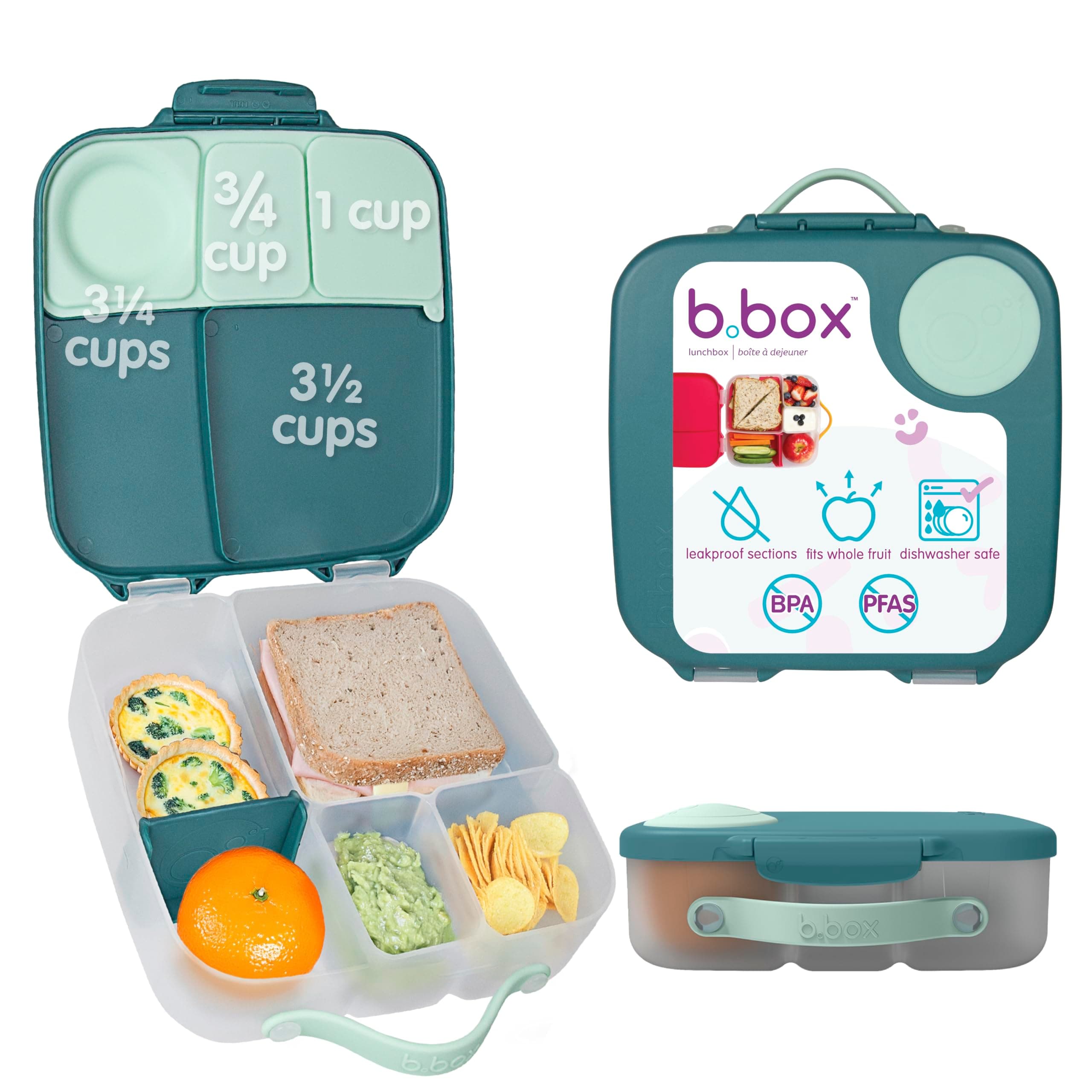 Lunchbox-Emerald Forest