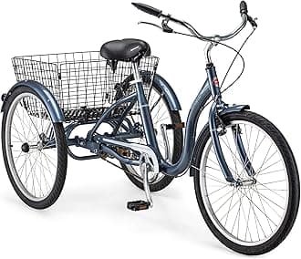 Schwinn Meridian