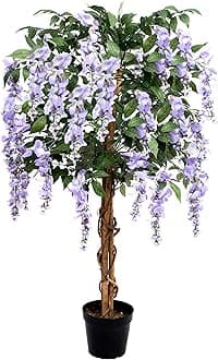 Lilac Wisteria Tree Small