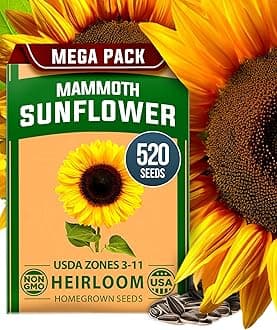 Sunflower Seeds to Plant | 520+ Giant Mammoth Sunflower Seeds for Planting Bulk Packet | Heirloom, High Germination, Easy to Grow Jumbo Sun Flower for Home Garden(Helianthus annuus)