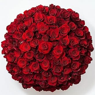 GlobalRose 500 Red Roses Bouquet - Responsibly Sourced Roses Fresh Flowers - Hand-Picked Flowers Fresh Bouquet for Valentine's Day, Birthday & Special Occasions (20 Bunches of 25 Stems)
