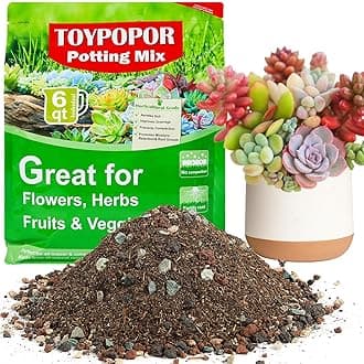 TOYPOPOR Succulent Soil, Cactus Potting Mix 7.5 Pounds/6QTS, High Drainage, Pre-Mixed Ready to Use for All Succulent Varieties, Indoor Plants, Bonsai, Terrarium, Houseplant, 30% Particles 70% Soil