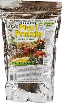 Super Plant Protein Sweetened - Raw Vegan Protein Powder Enriched with Exotic Pine Nuts, Chlorella, Durian, & Prickly Pear Cactus - Digestive-Friendly, Nutrient-Rich, Unprocessed - 681g