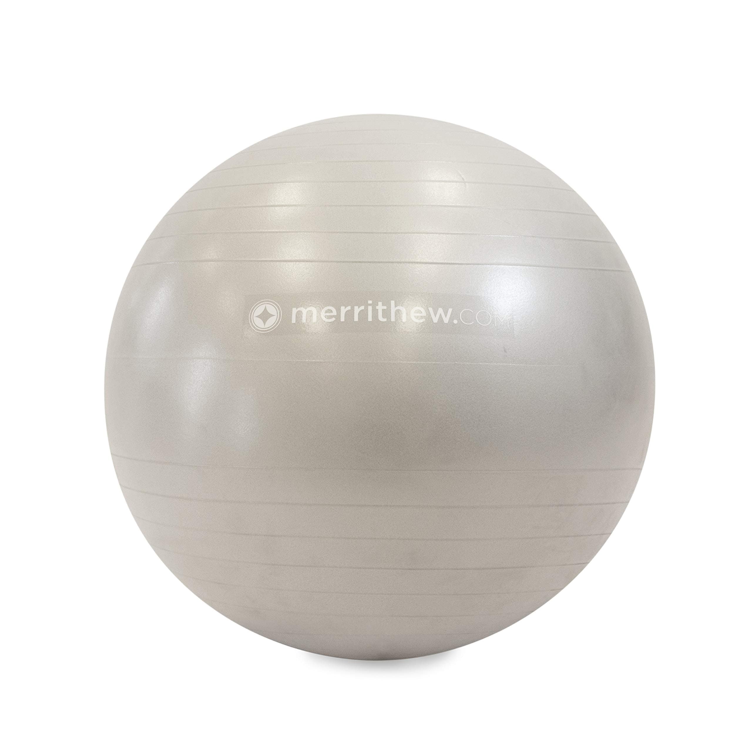 STOTT PILATESStability Ball with Pump Stability