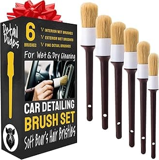Detail Dudes Soft Boar Hair Car Detailing Brush Set - 6-Pack - Scratch-Free Soft Bristle Cleaning Brushes - Reaches Tight Spots & Interior Car Cleaning Kit - Ergonomic & Durable Detailing Supplies