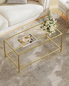 Homleke Glass Coffee Table, Modern Rectangular Coffee Table for Living Room, Minimalist Center Tea Table with Sturdy Metal Frame for Apartment, Office, Easy Assembly, 39.4 x 19.7 x 17.7 Inches, Golden