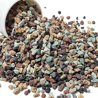 YISZM Succulent Cactus Soil Potting Mix Horticultural Lava Rocks Bonsai Soil for Indoor Plants Drainage Volcanic Rock for Terrarium Gardening Top Dressing 2lb