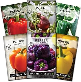 Sweet Bell Pepper Seed Collection for Planting a Home Garden - Red, Yellow, Purple, Orange and Chocolate Brown Bell Peppers - Non-GMO Heirloom Variety Pack Vegetable Seeds to Plant