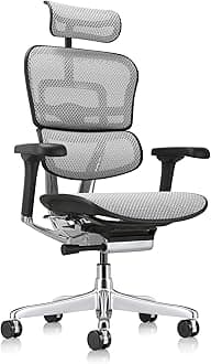Eurotech ME7ERG GEN2 High Back Mesh Office Chair with Tilt Tension Control, Tilt Lock, Back Angle, Back Height, Synchro Tilt, Seat Height, Seat Depth, and Arm Height Adjustments, Grey