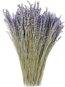 MIHUAGE Dried Lavender Flowers Bundles 100% Natural Real Dry Flower for Home Decorations,Home Fragrance 350+ Stems