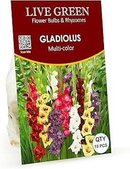 LIVE GREEN Gladiolus Double Petal Mixed Imported Flower Bulbs - Pack of 10