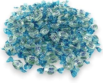 Crystal Mint Candies-1.5 lbs-Individually Wrapped Gourmet Blue Tint Hard Candy Mints for a Cool Refreshing Taste-Perfect After Dinner Mint(24 oz)