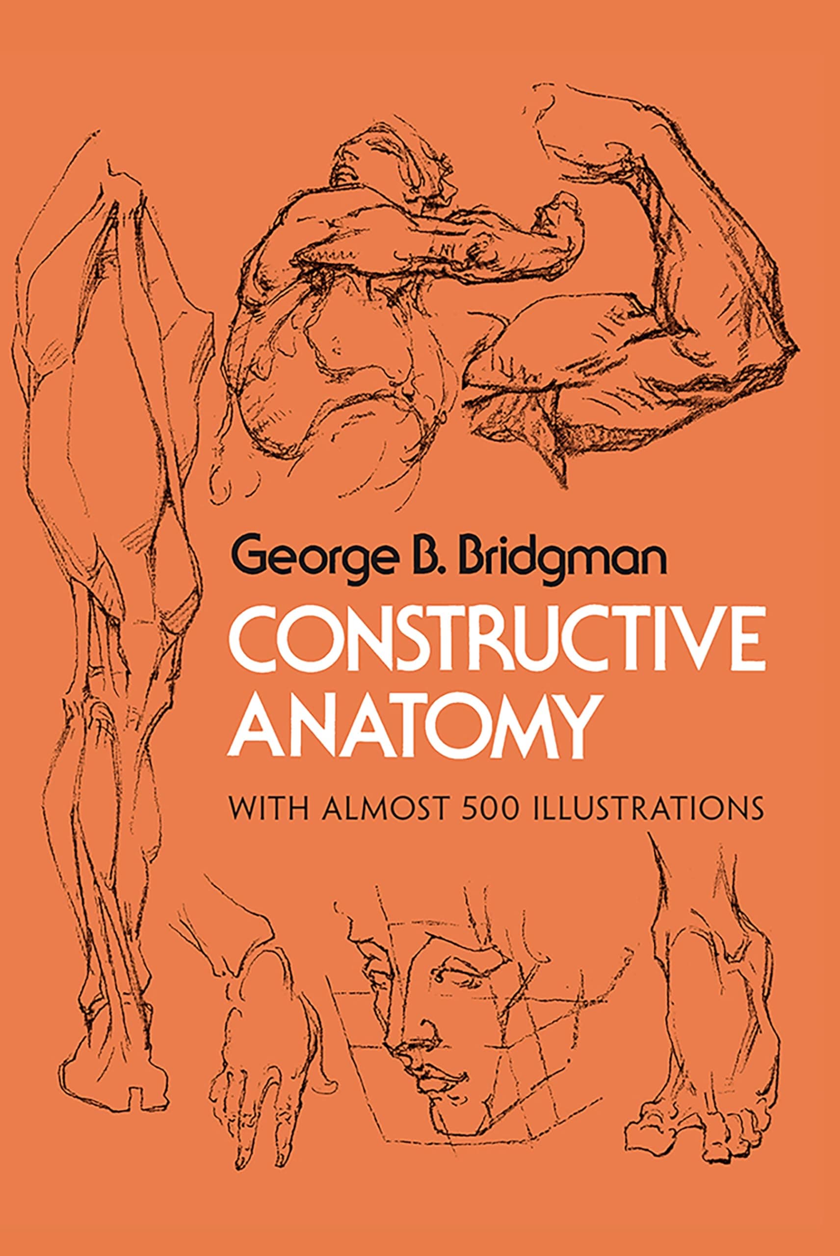 Constructive Anatomy