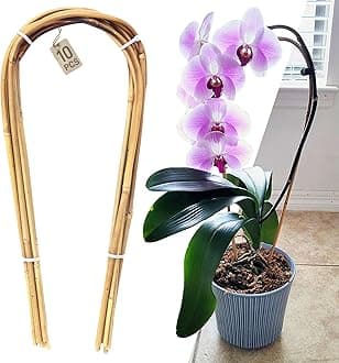 Avalution 16" Natural Bamboo Plants Trellis U-Hoop,Bamboo Gaeden Trellis U-Shape for Climbing Plant Support-10PCS