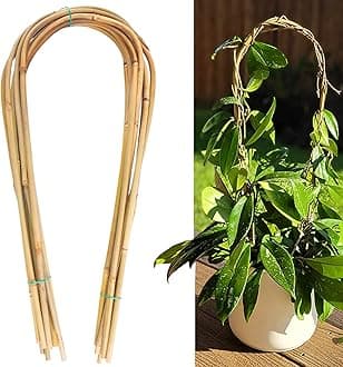 Avalution 16" Natural Bamboo Plants Trellis U-Hoop,Bamboo Gaeden Trellis U-Shape for Climbing Plant Support-20PCS