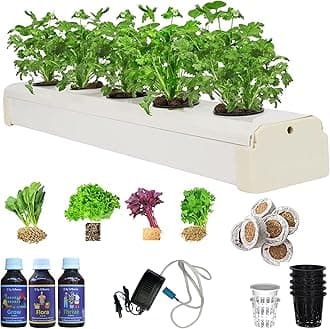 - Hydroponic Kit for Home Garden - Beginners 5 Planter Deep Water Culture (DWC) System - Grow Any Indian Or Exotic Leafy's, Perfect at Home Kit for Hydroponic Gardening.