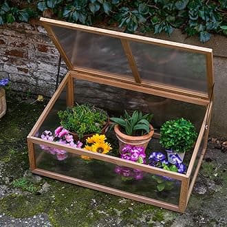 Outdoor Wooden Plant Flower Vegetable Cold Frame Growhouse