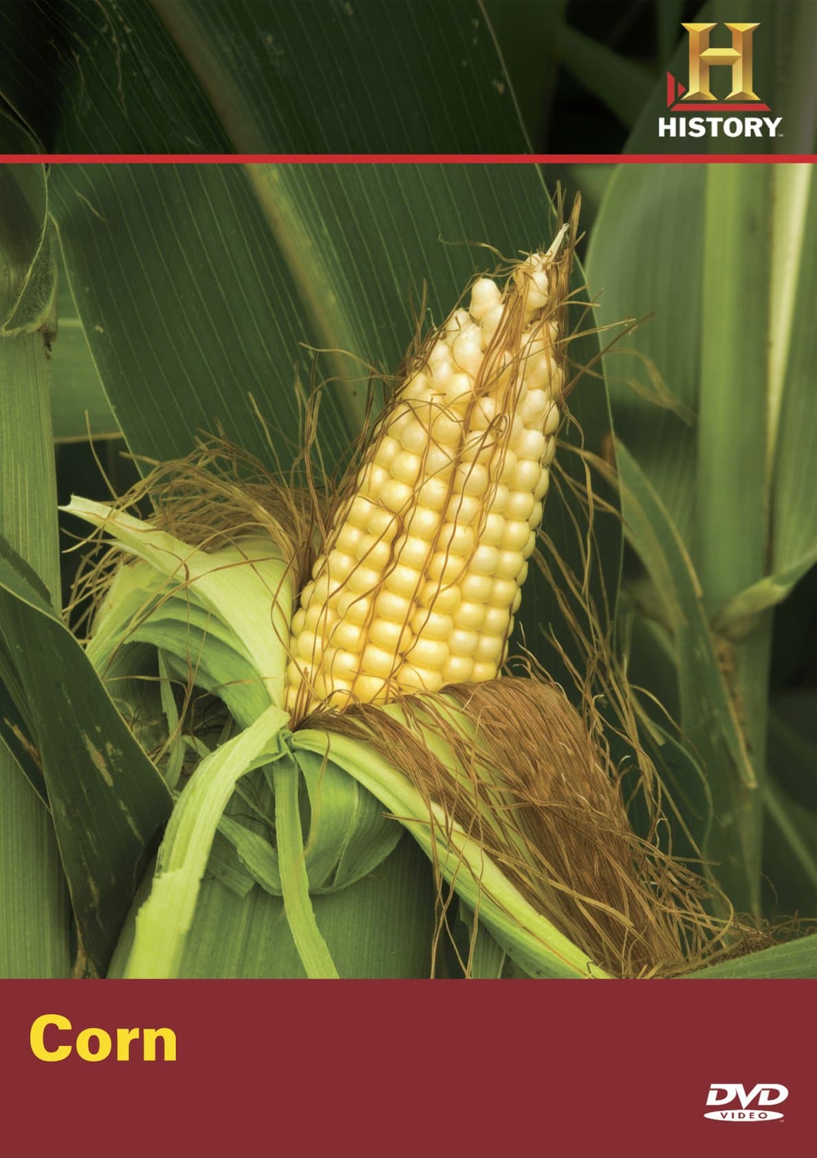 Modern Marvels: Corn