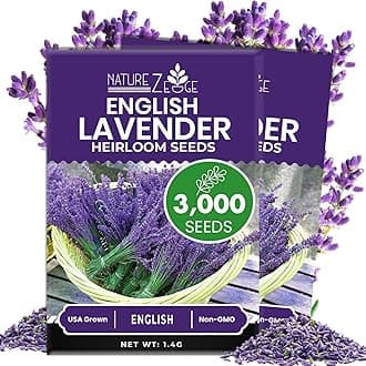 NatureZ Edge 3000 English Lavender Seeds for Planting Outdoors or Indoors, 90% Germination, to Give You The Lavender Plant You Need, Non-GMO, Heirloom Herb Seeds (2 Pack)