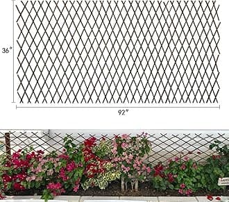 Garden Land Expandable Trellis Plant Support Willow Lattice Fence Panel for Climbing Plants Vine Ivy Rose Cucumbers Clematis 36X92 Inch