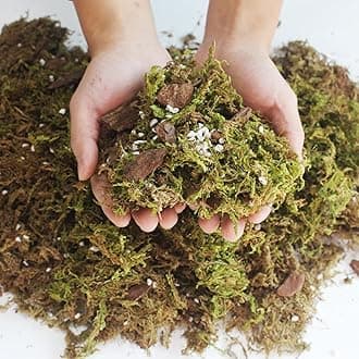 6QT Orchid Potting Mix with Moss Pine Bark Mulch Perlite & Coco Peat Natural Ingredients, Orchid Repotting Soil Medium Great for Indoor Plant Root Climbing & Expanding