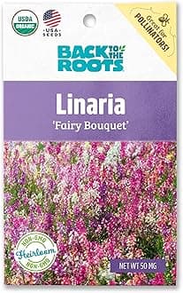 Seed Packet - Linaria 'Fairy Bouquet' 50mg