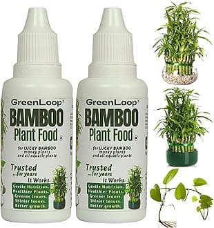 Bamboo Plant Food (& for Money Plants) - Liquid Food for Aquatic Plants (in Water), Two Bottles, Each 30 ml.