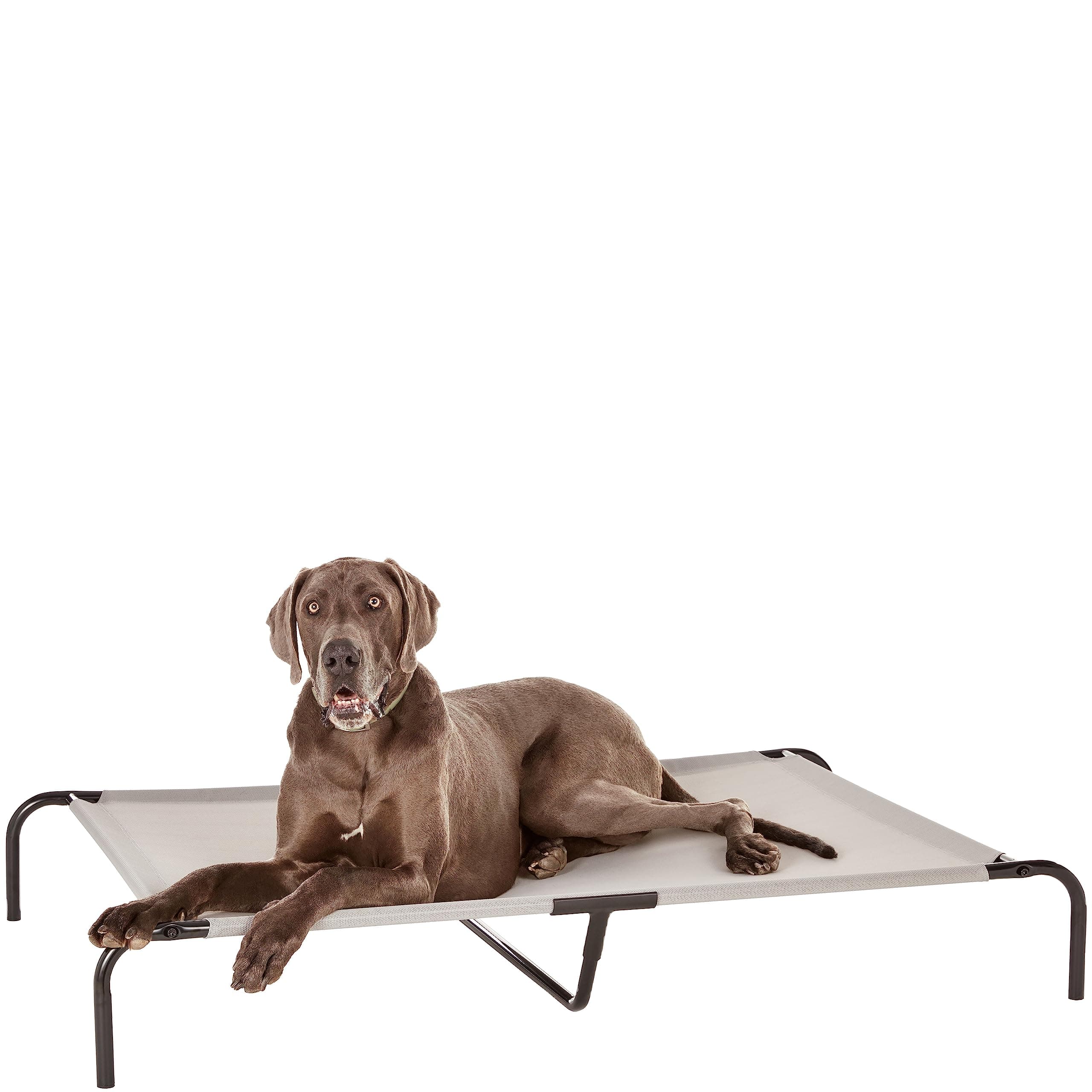 Amazon Basics Cooling Elevated Pet Bed, Extra-Large (152.6 x 93.9 x 22.6 centimeters), Grey, 1 count