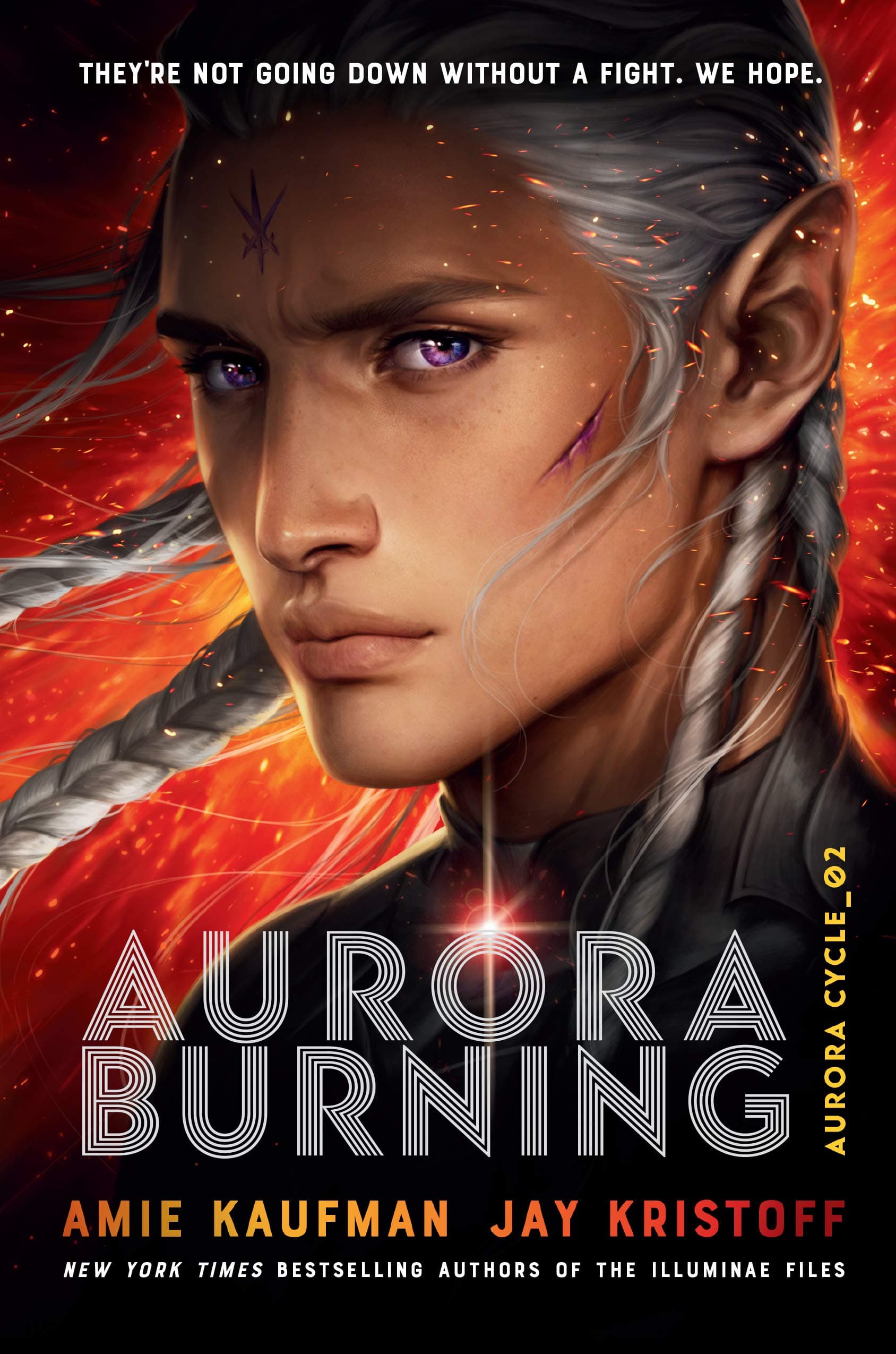 Aurora Burning: 2 (The Aurora Cycle)